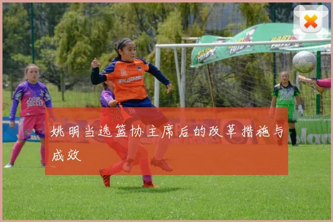 姚明当选篮协主席后的改革措施与成效